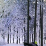 521496_4273661394680_482397354_n